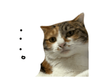 853374345