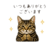 853374802