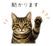 853374804