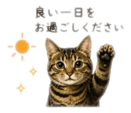 853374806