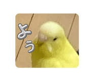 853374996