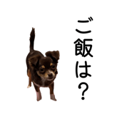 853375059