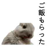 853375068