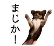 853375078