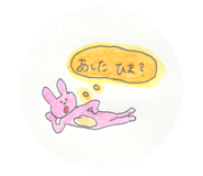 853375243