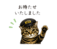 853375412