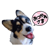 853375513