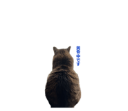 853375552