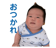 853375597