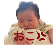 853375598
