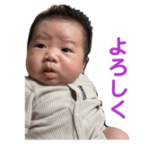 853375600
