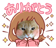 853376062