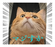 853376067