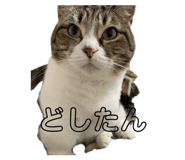 853376147
