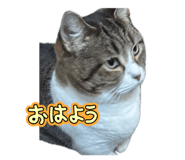 853376148