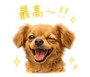 853376214