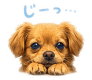 853376221