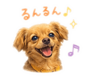 853376235