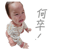 853376502