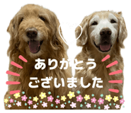 853376826