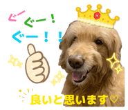 853376840