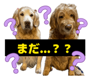 853376842