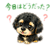 853377112