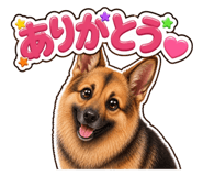 853377245