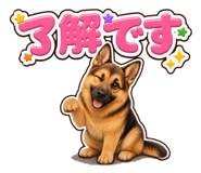 853377246