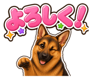 853377247