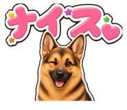 853377251