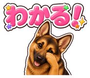 853377253