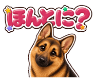 853377254