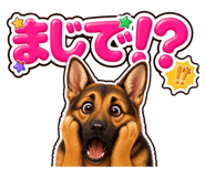 853377255