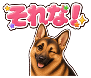 853377257