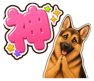 853377260