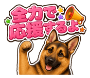 853377263