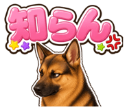 853377269