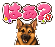 853377271