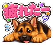 853377273