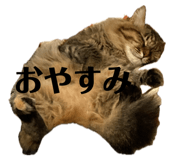 853378275