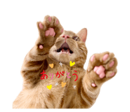 853378309