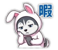 853378702