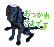 853378821