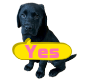 853378823