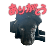 853378824
