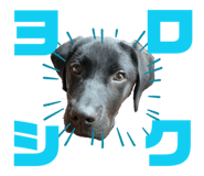 853378825