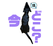 853378826