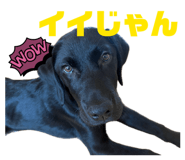 853378829