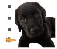 853378830